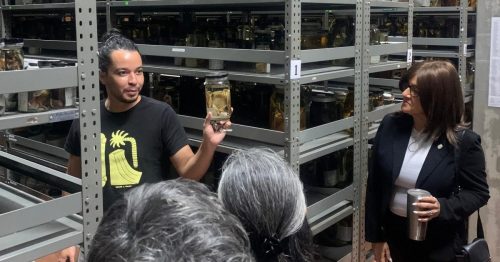  VII Semana de la Diversidad Lingüística de Costa Rica: «Lenguaje, entorno natural y cultura»