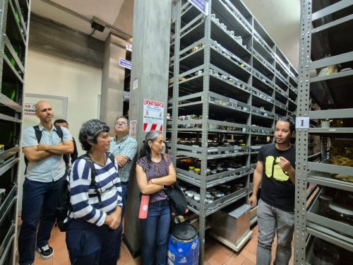  VII Semana de la Diversidad Lingüística de Costa Rica: «Lenguaje, entorno natural y cultura»